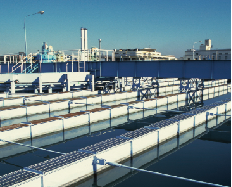 202204300633091087959481